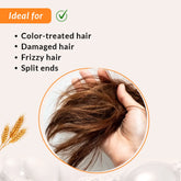 Issues Fidelia Hair Conditioner is Ideal for